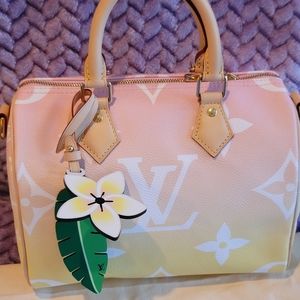 Louis Vuitton By the Pool Speedy 25 Giant Monogram Light Pink Limited Editio Bag